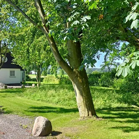 Heerlijk Midden In De Vakantiehuis *