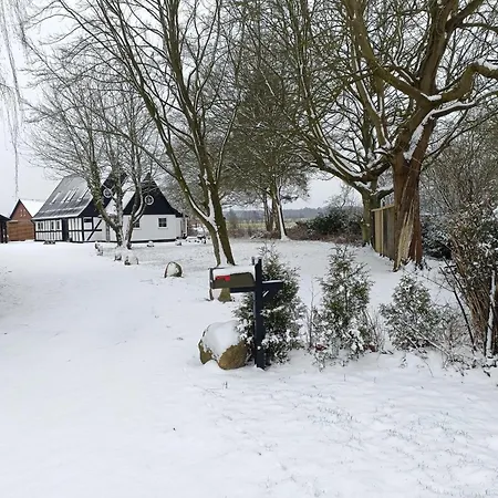 Heerlijk Midden In De Vakantiehuis