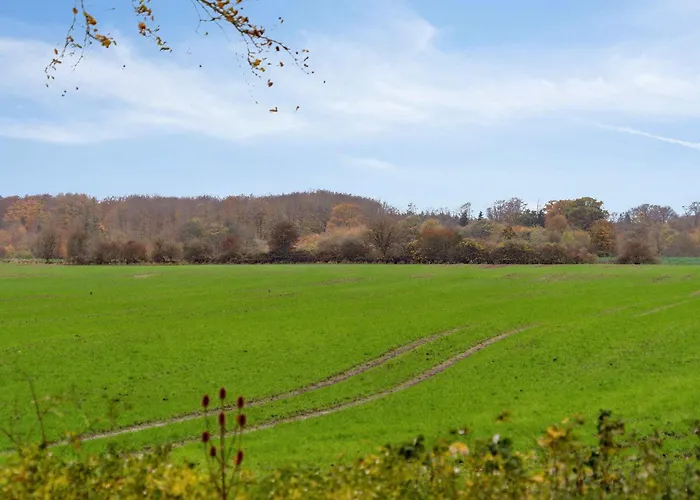 Comfortably In Scenic Surroundings